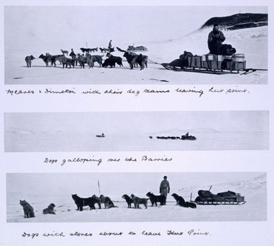 Three Views of the Dog Teams Led by Meares and Dimetri on the 